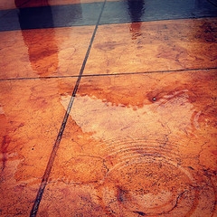 grateful+dead+ripple